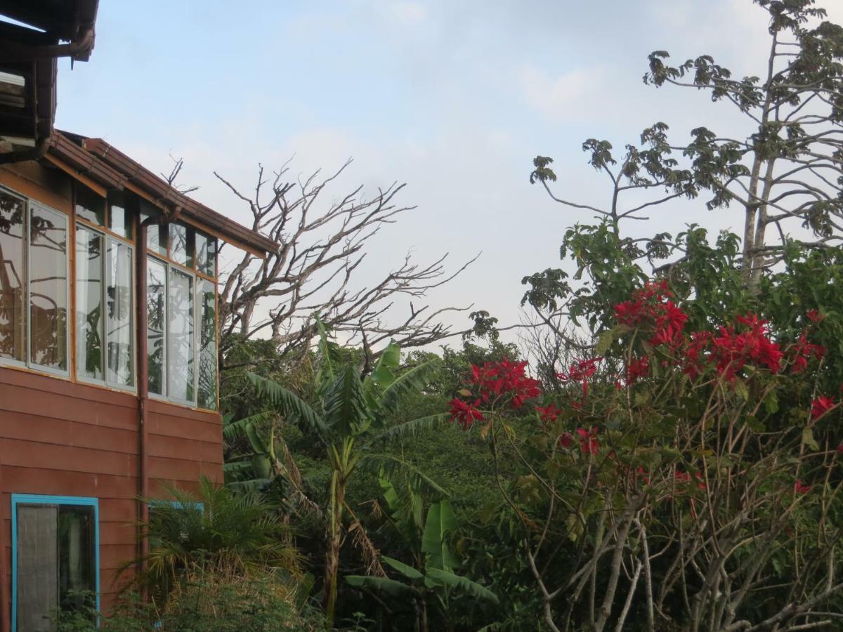 Apartamento Artesana Monteverde Buitenkant foto